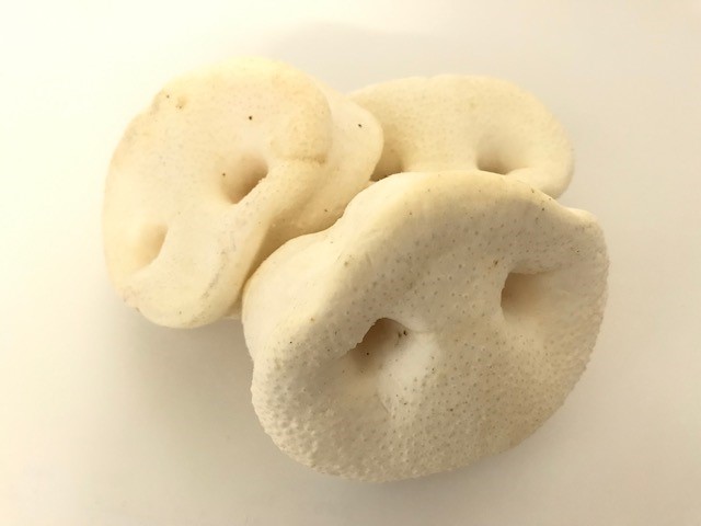 Puffed Pig Snout