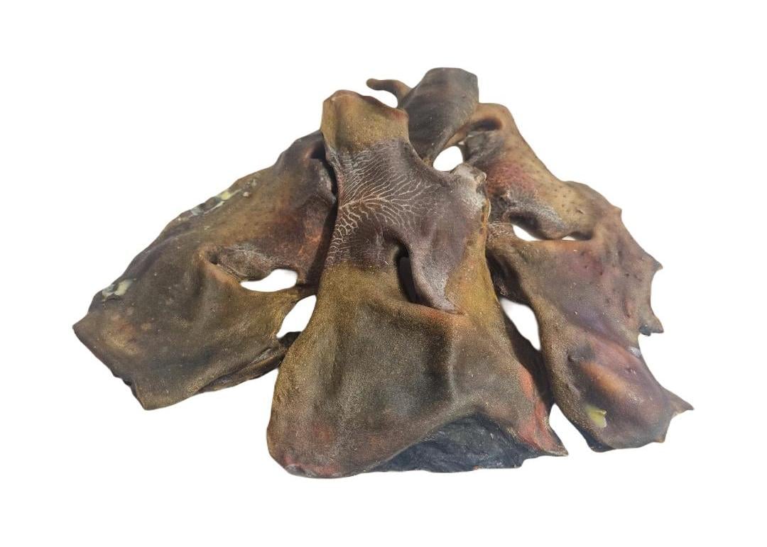 Beef (Cow) Nose Natural