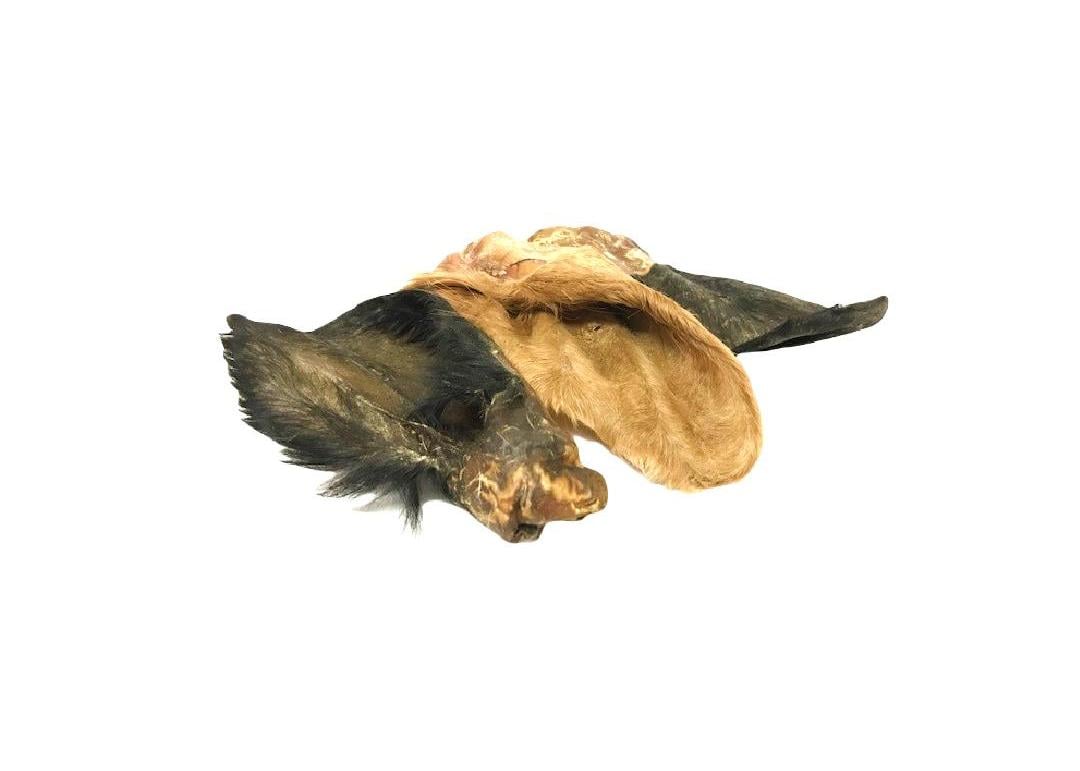 Cow Ear with Hair